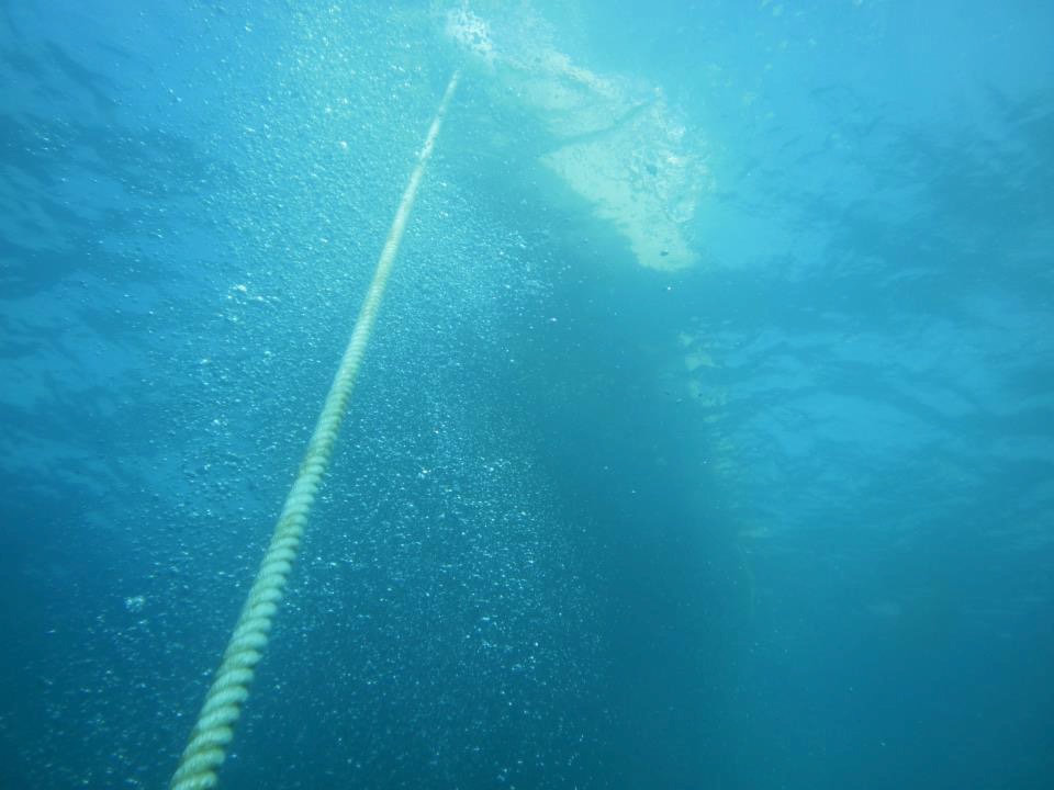Dive photo 1 of 1